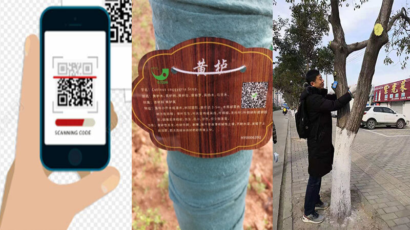 米兰·(milan)中国官方网站,米兰体育,ac米兰